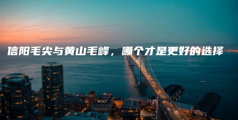 信陽(yáng)毛尖與黃山毛峰，哪個(gè)才是更好的選擇插圖
