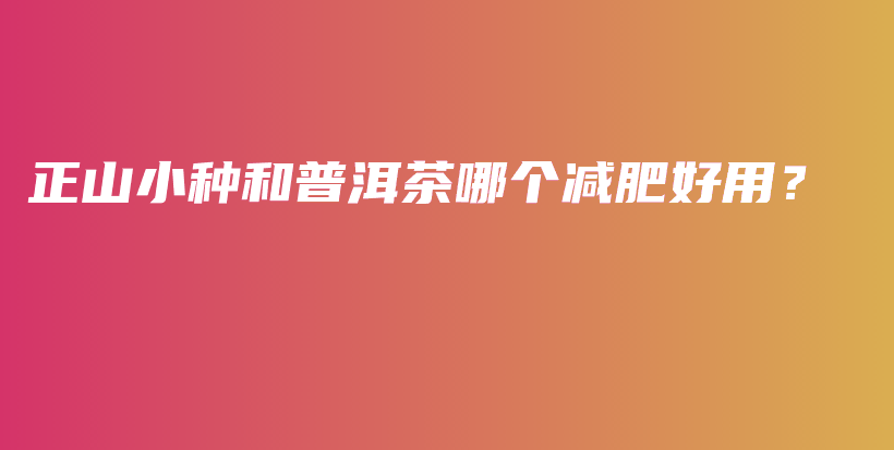 正山小種和普洱茶哪個(gè)減肥好用？插圖