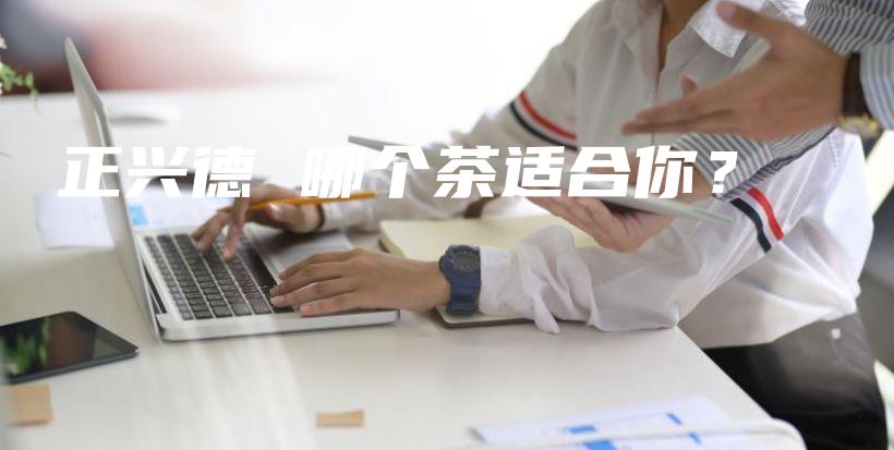 正興德 哪個茶適合你？插圖
