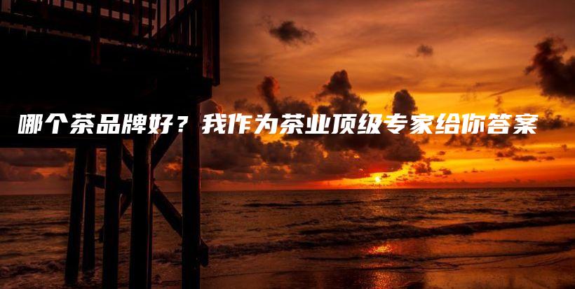 哪個(gè)茶品牌好？我作為茶業(yè)頂級(jí)專家給你答案插圖