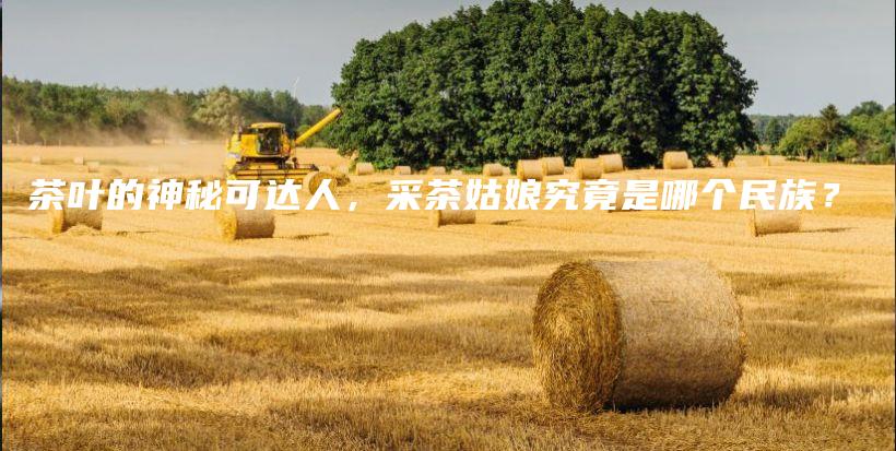 茶葉的神秘可達人，采茶姑娘究竟是哪個民族？插圖