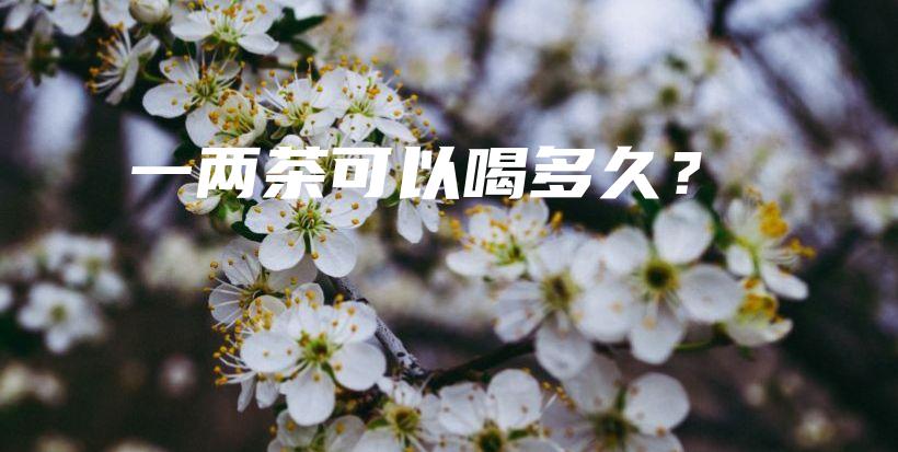 一兩茶可以喝多久？插圖
