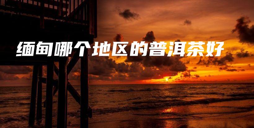 緬甸哪個(gè)地區(qū)的普洱茶好插圖