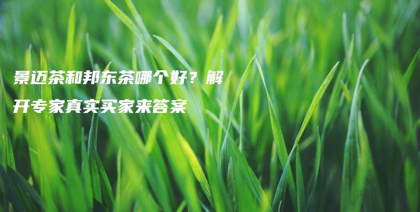 景邁茶和邦東茶哪個好？解開專家真實買家來答案插圖