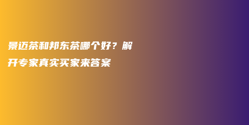 景邁茶和邦東茶哪個好？解開專家真實買家來答案插圖