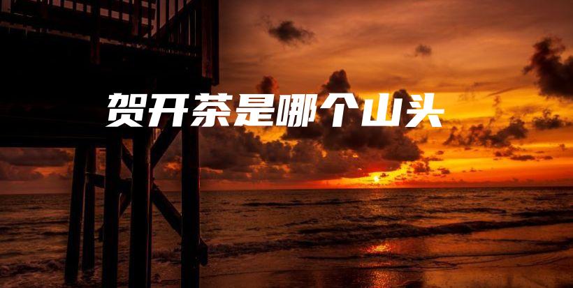賀開茶是哪個山頭插圖