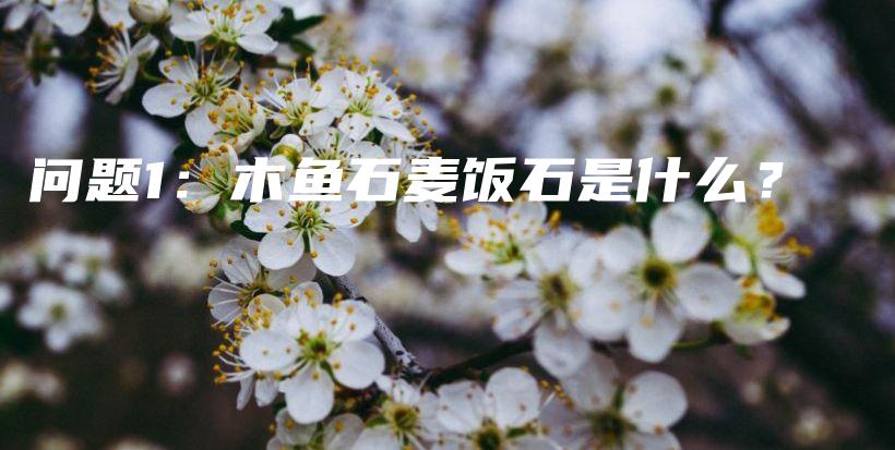 問題1：木魚石麥飯石是什么？插圖