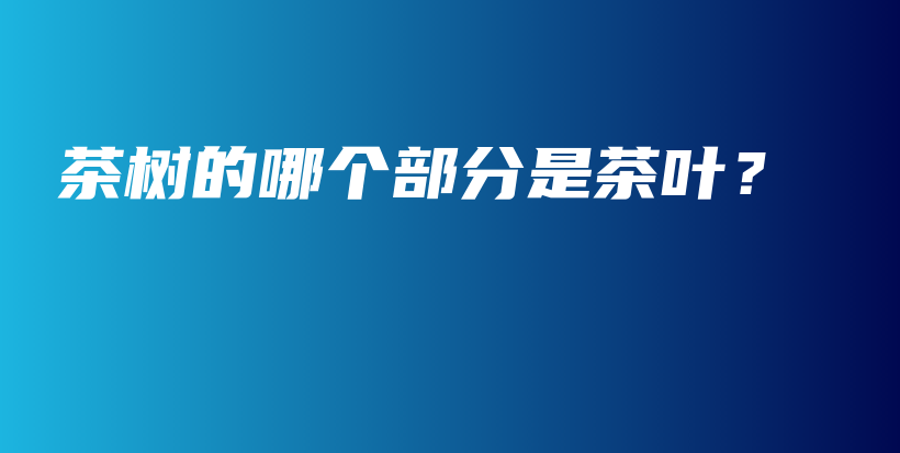 茶樹的哪個(gè)部分是茶葉？插圖