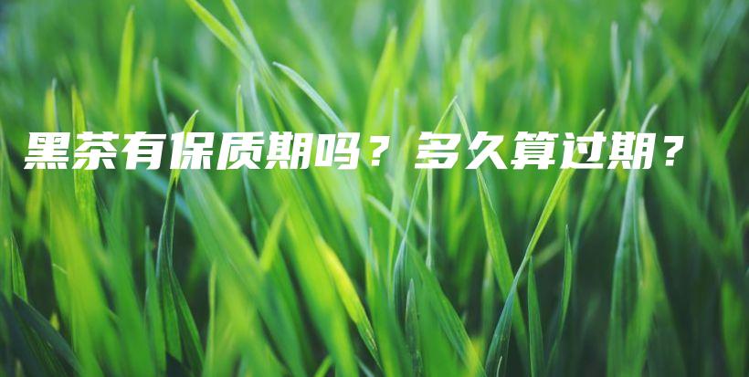 黑茶有保質(zhì)期嗎？多久算過期？插圖