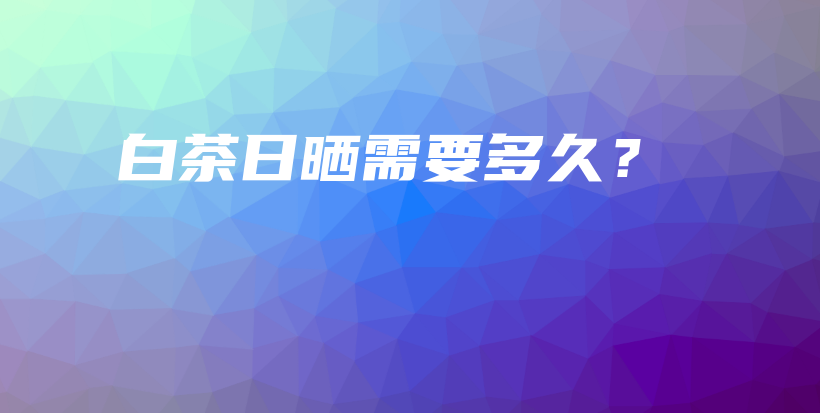 白茶日曬需要多久？插圖