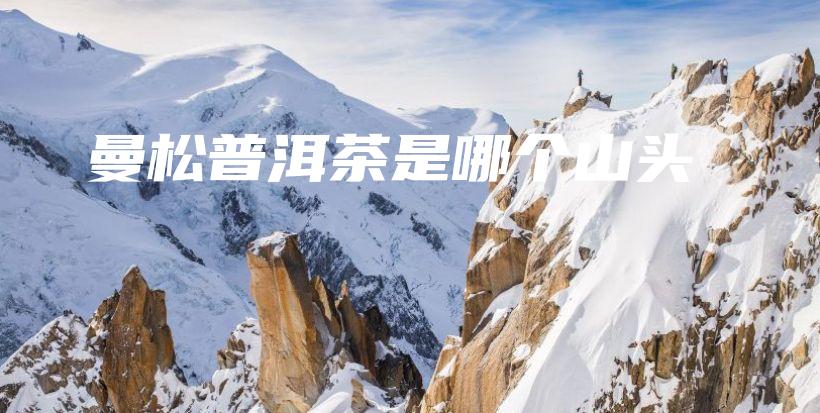曼松普洱茶是哪個山頭插圖
