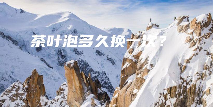茶葉泡多久換一次？插圖