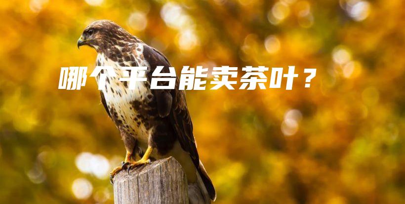 哪個平臺能賣茶葉？插圖