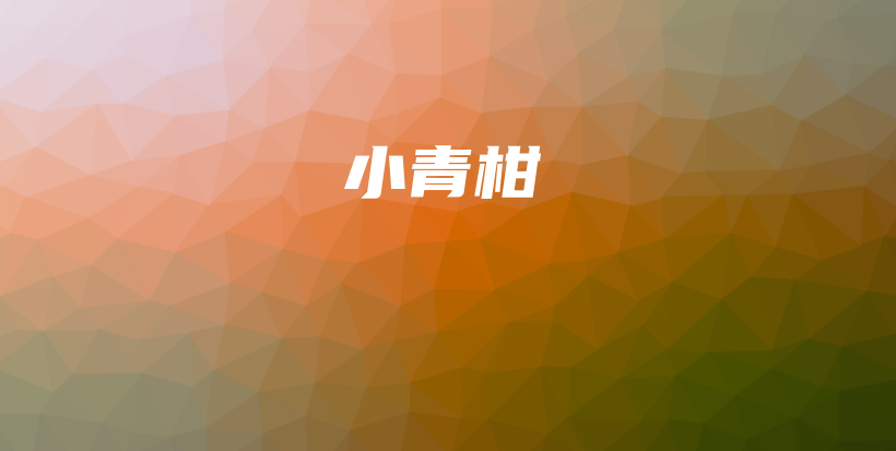 小青柑插圖