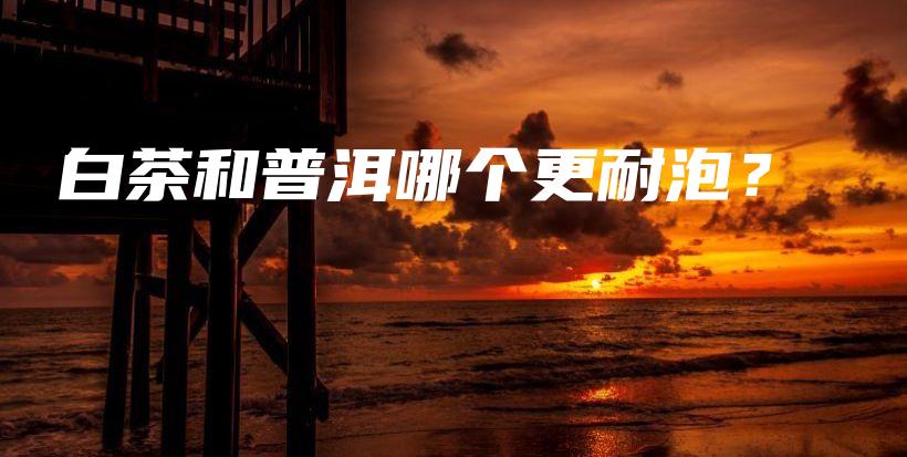 白茶和普洱哪個更耐泡？插圖