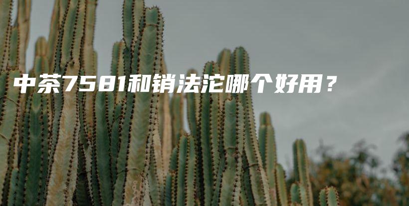 中茶7581和銷法沱哪個(gè)好用？插圖