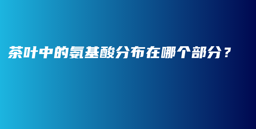 茶葉中的氨基酸分布在哪個(gè)部分？插圖