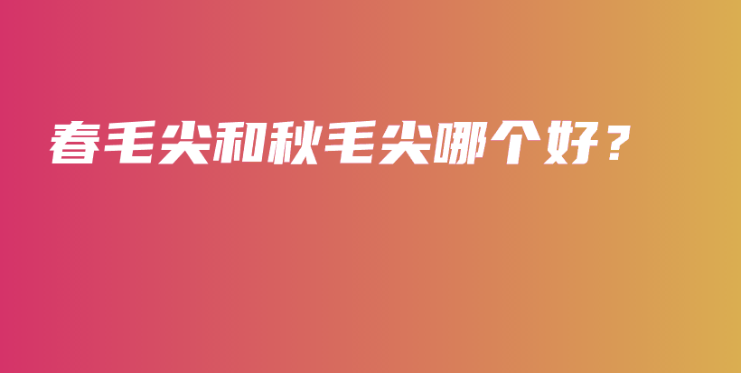 春毛尖和秋毛尖哪個(gè)好？插圖