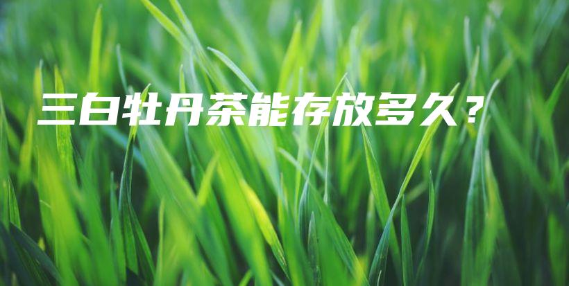 三白牡丹茶能存放多久？插圖