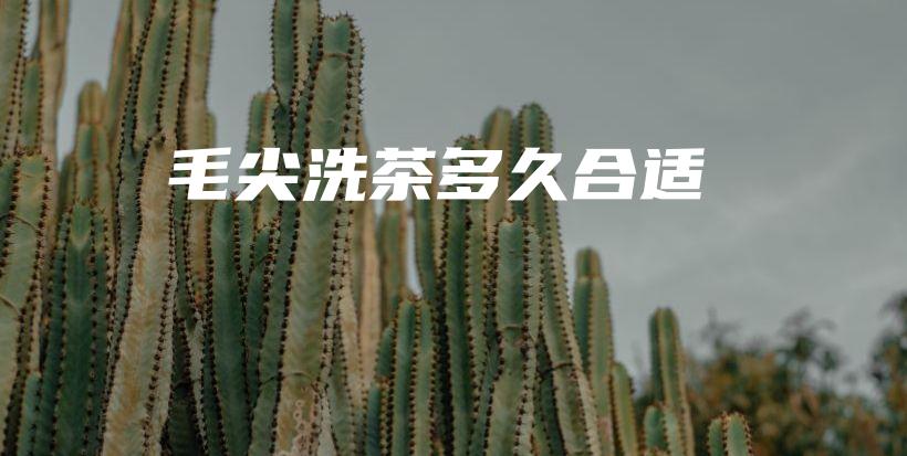 毛尖洗茶多久合適插圖