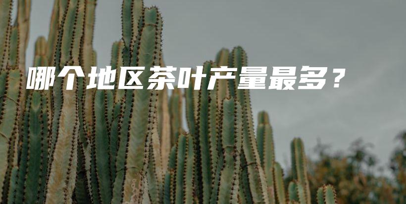 哪個地區(qū)茶葉產(chǎn)量最多？插圖
