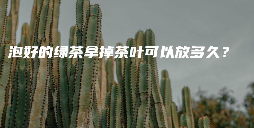 泡好的綠茶拿掉茶葉可以放多久？插圖