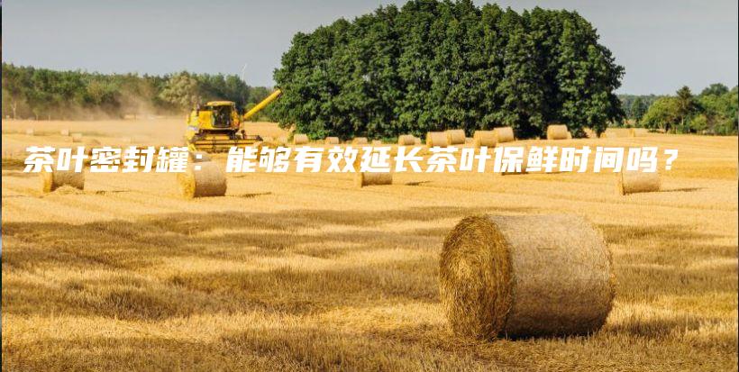 茶葉密封罐：能夠有效延長茶葉保鮮時間嗎？插圖