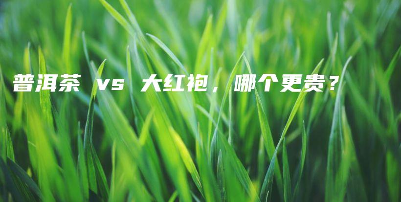 普洱茶 vs 大紅袍，哪個(gè)更貴？插圖