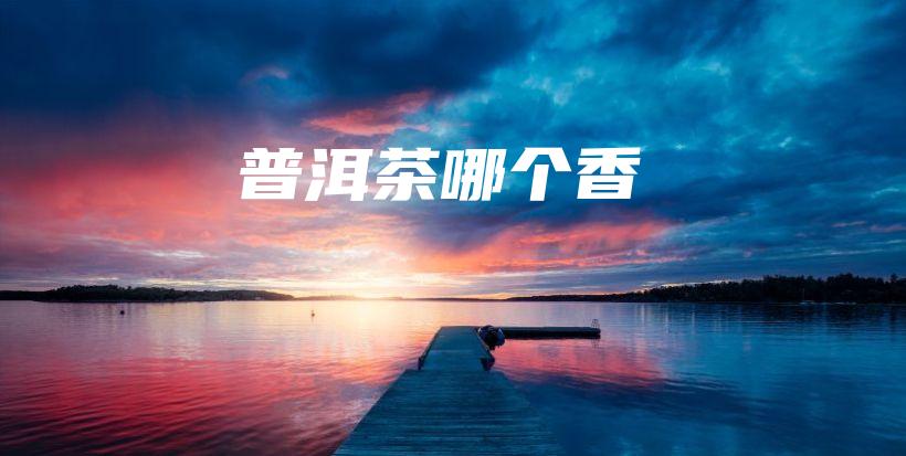 普洱茶哪個香插圖
