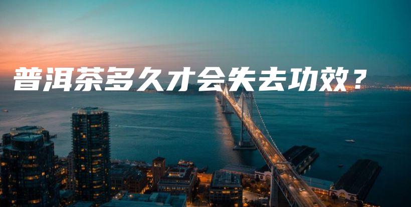 普洱茶多久才會失去功效？插圖