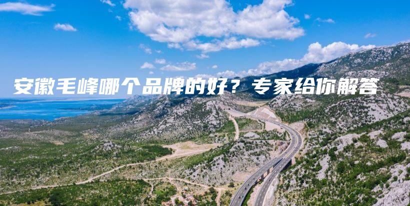 安徽毛峰哪個品牌的好？專家給你解答插圖