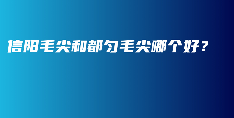 信陽(yáng)毛尖和都勻毛尖哪個(gè)好？插圖