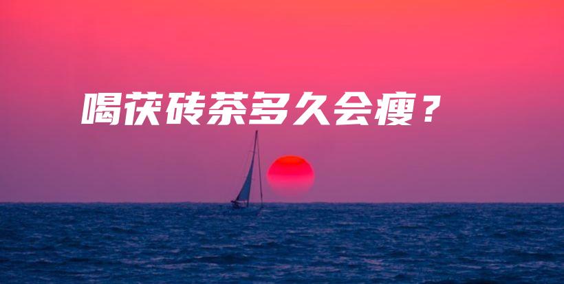 喝茯磚茶多久會瘦？插圖