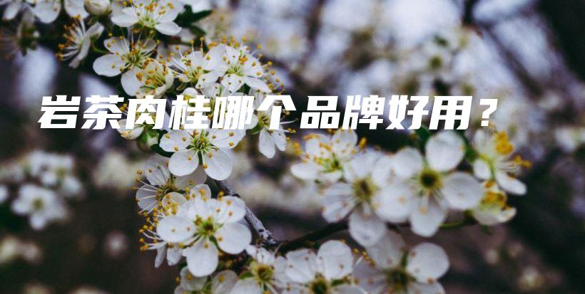 巖茶肉桂哪個(gè)品牌好用？插圖