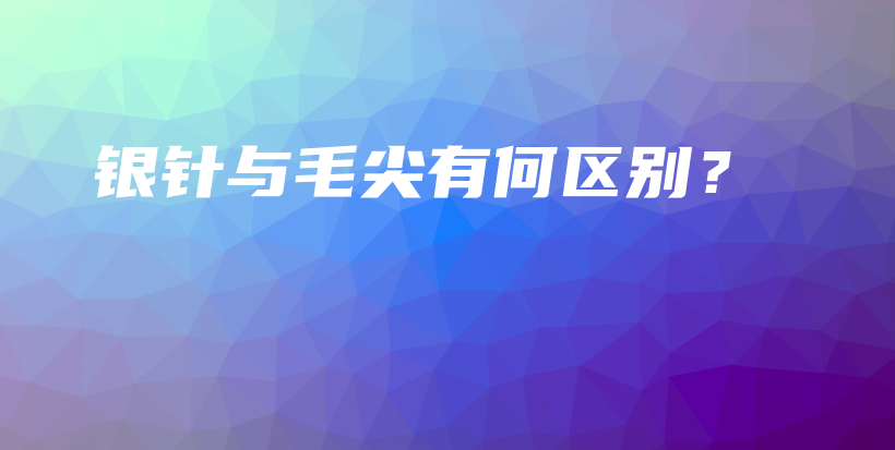 銀針與毛尖有何區(qū)別？插圖