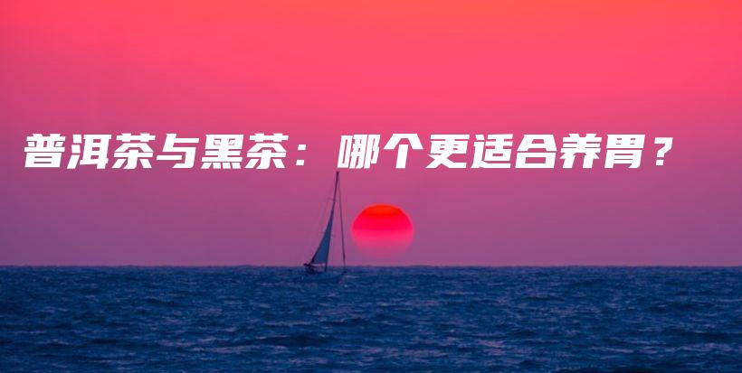 普洱茶與黑茶：哪個更適合養(yǎng)胃？插圖
