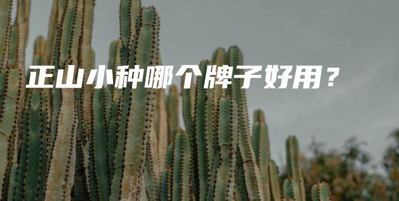 正山小種哪個(gè)牌子好用？插圖
