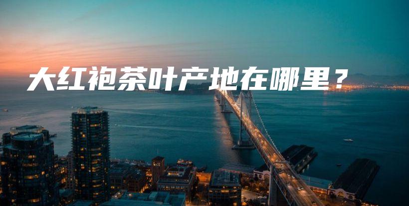 大紅袍茶葉產(chǎn)地在哪里？插圖