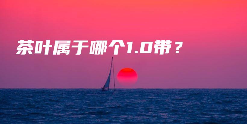茶葉屬于哪個1.0帶？插圖