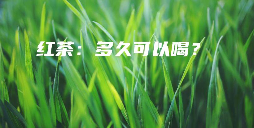 紅茶：多久可以喝？插圖