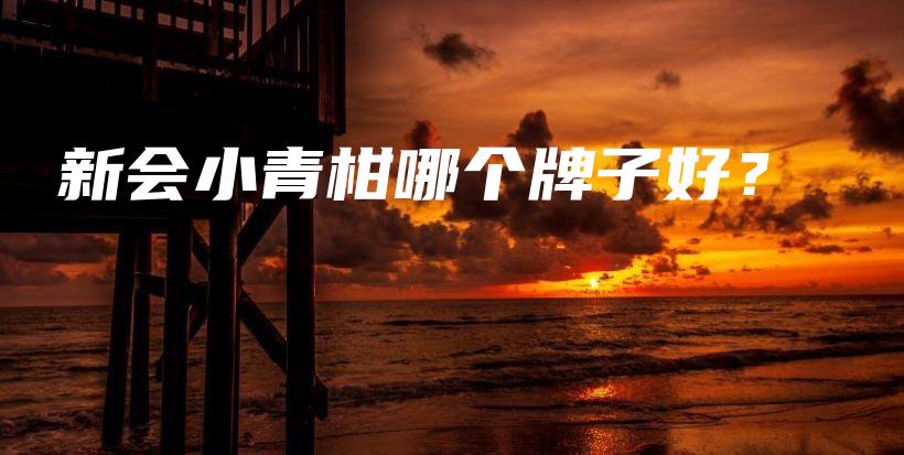 新會(huì)小青柑哪個(gè)牌子好？插圖
