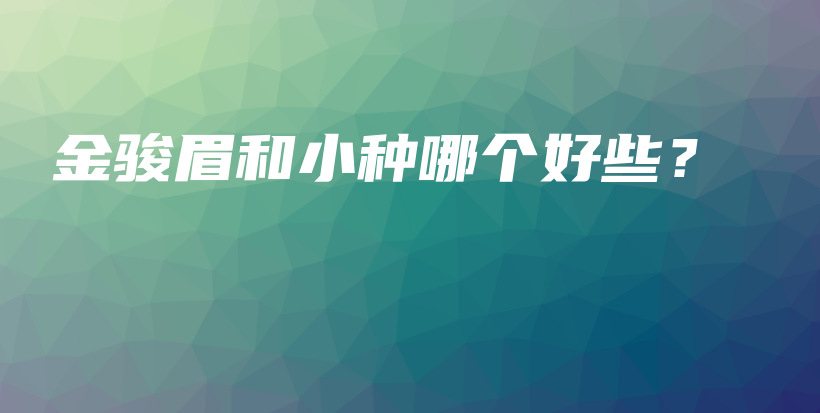 金駿眉和小種哪個(gè)好些？插圖