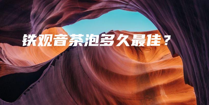 鐵觀音茶泡多久最佳？插圖
