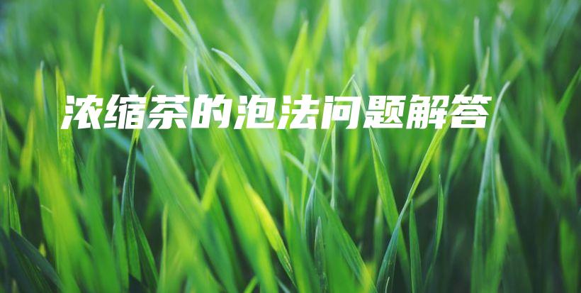 濃縮茶的泡法問題解答插圖
