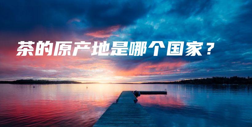 茶的原產(chǎn)地是哪個國家？插圖