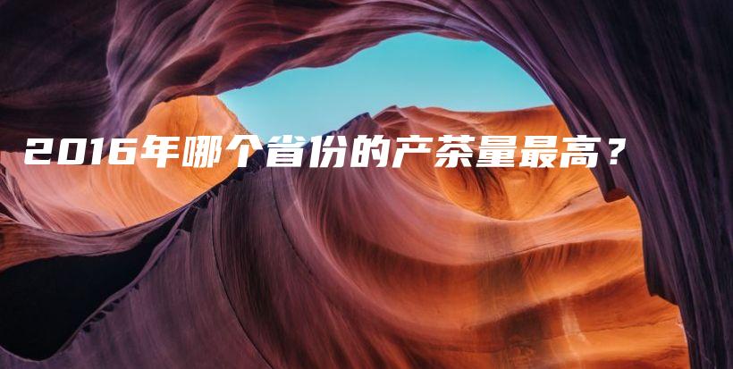 2016年哪個(gè)省份的產(chǎn)茶量最高？插圖