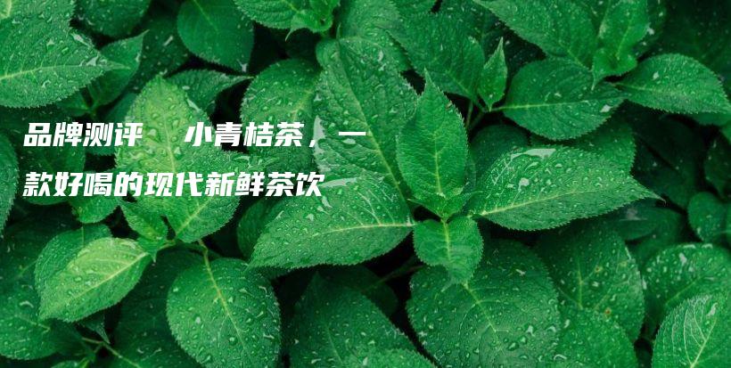 品牌測評  小青桔茶，一款好喝的現(xiàn)代新鮮茶飲插圖