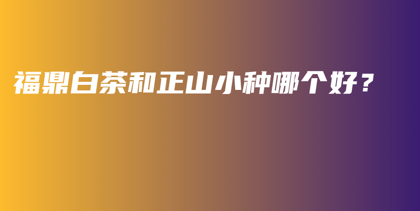 福鼎白茶和正山小種哪個(gè)好？插圖