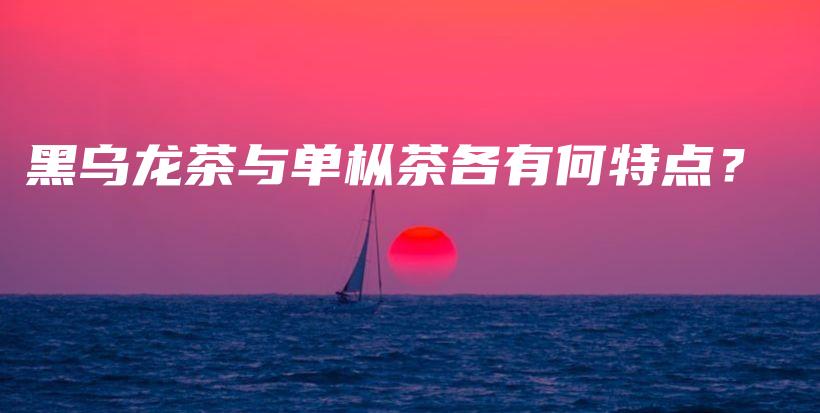 黑烏龍茶與單樅茶各有何特點(diǎn)？插圖
