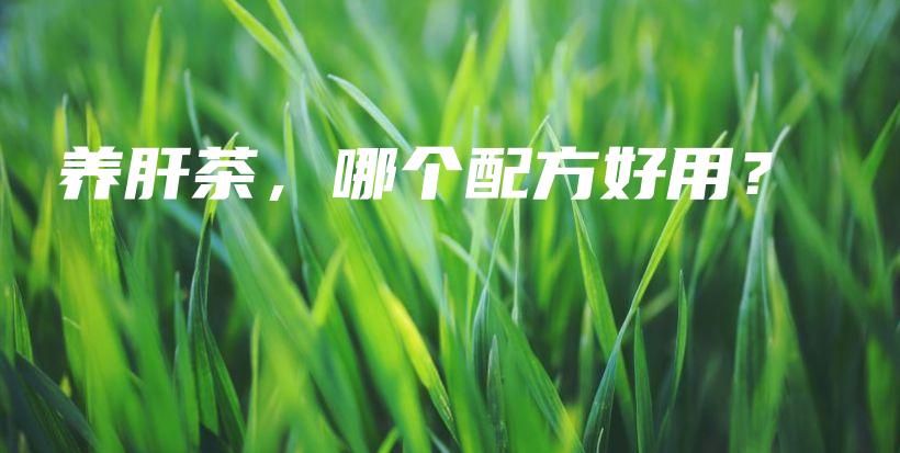 養(yǎng)肝茶，哪個配方好用？插圖